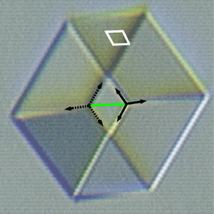 Optical Image of an R3 insulin crystal